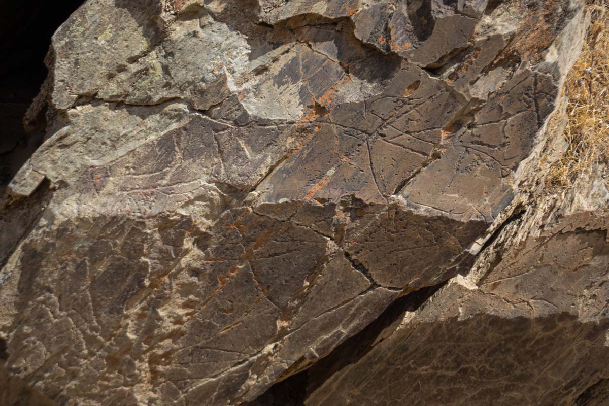 Parque Arqueológico do Vale do Côa