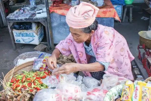 Indonesia Travel Guide Indonesia Travel Guide