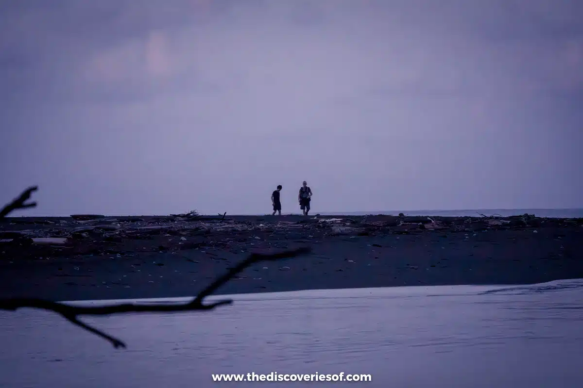 The park in dry season