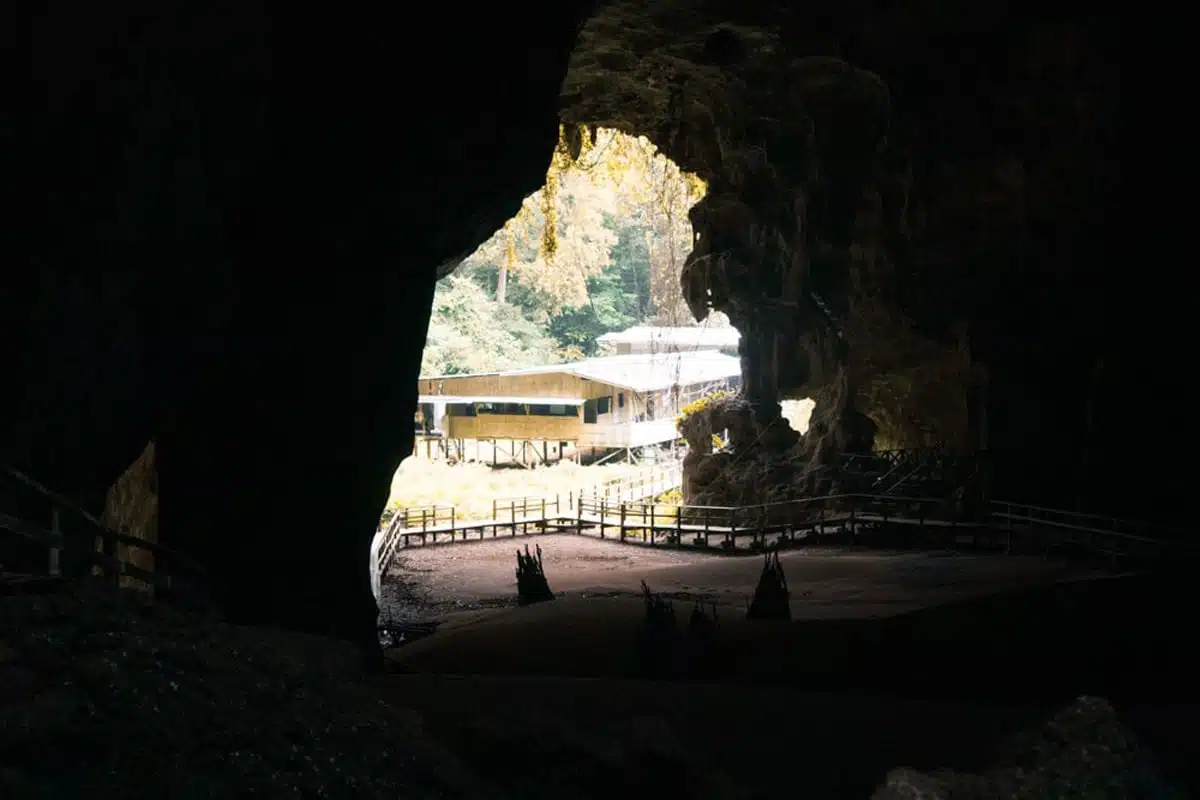 Gomantong Caves