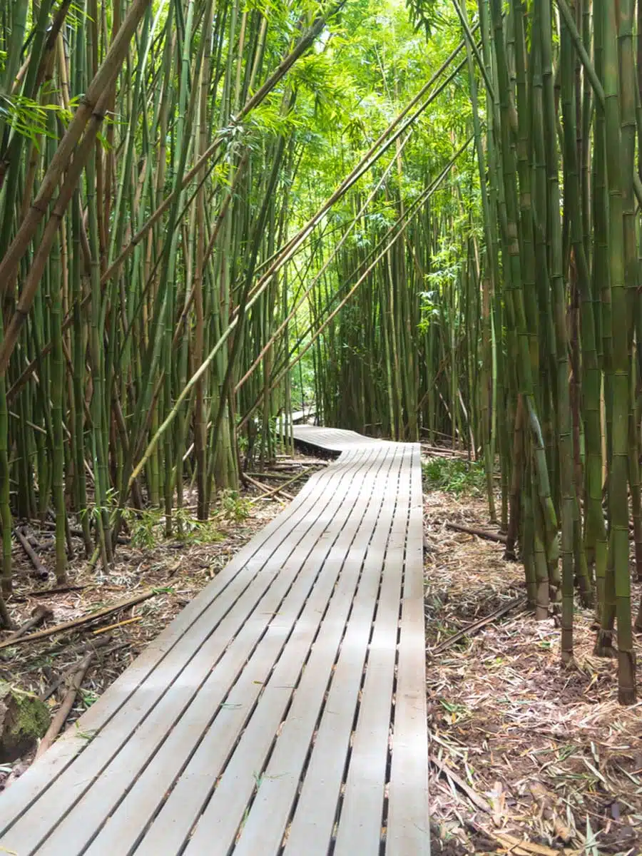 Haleakalā National Park