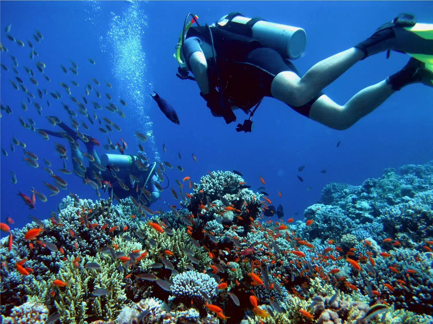 scuba diving in Thailand
