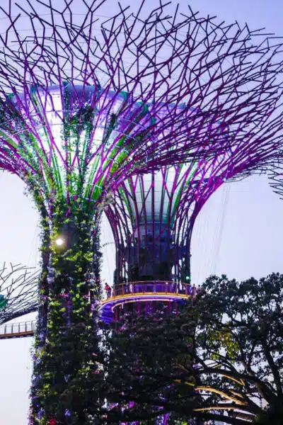 Singapore Travel Guide Singapore Travel Guide