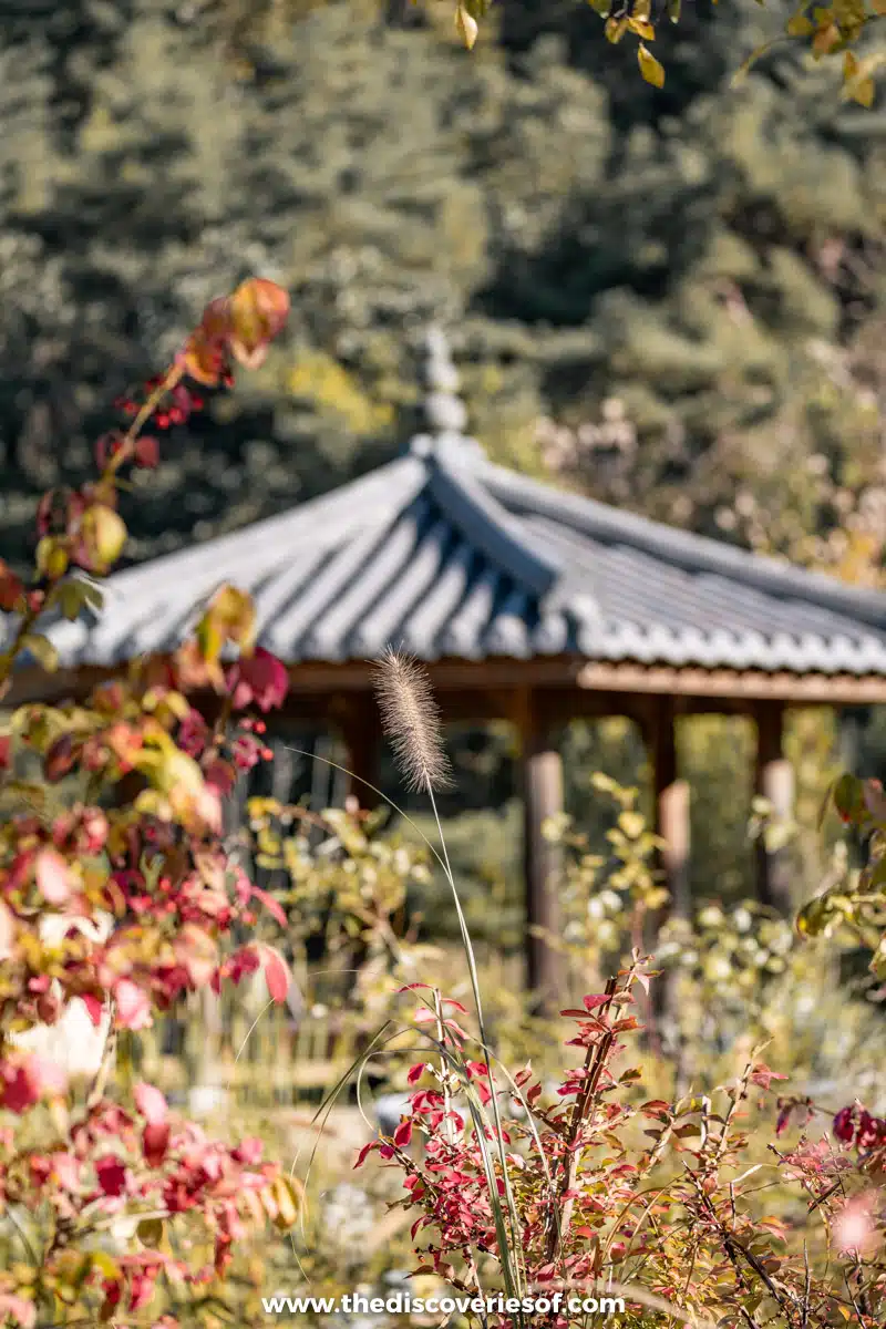 Tradition Resort Gureme Andong